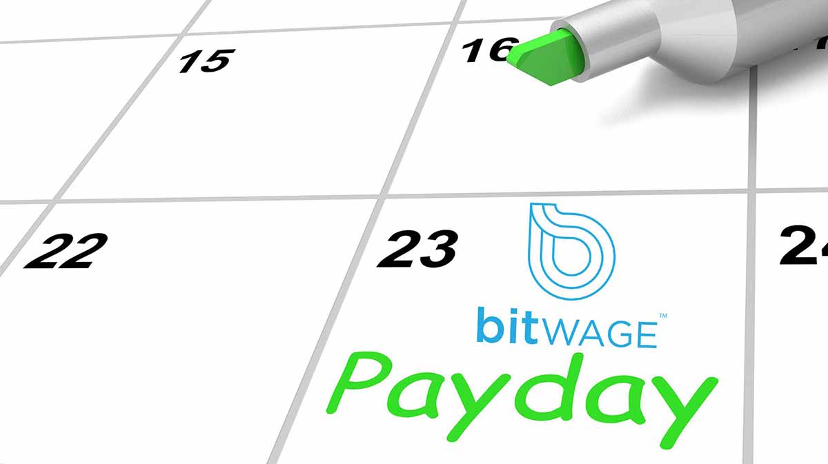 The companies of the country will be able to cancel the salary to their workers thanks to a strategic alliance with the cryptocurrency payroll service of Bitwage
