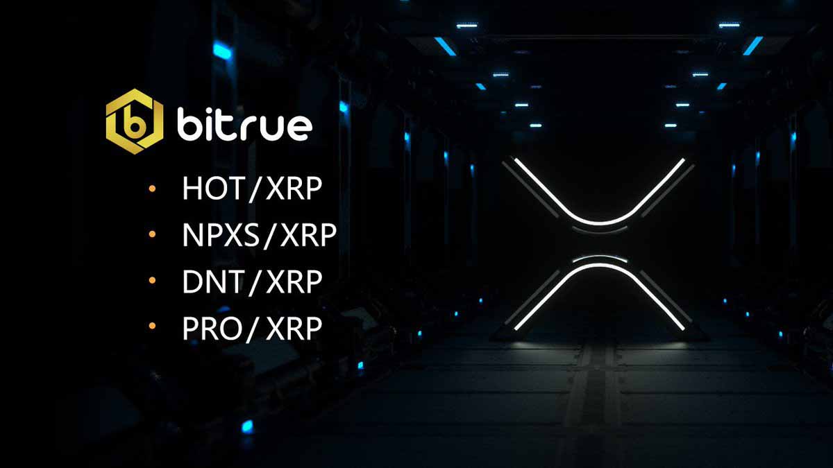 Cyber ​​criminals gained access to the Bitrue platform and seized the rippple (XRP) and cardano (ADA) cryptocurrencies for an amount of US $ 4.3 million