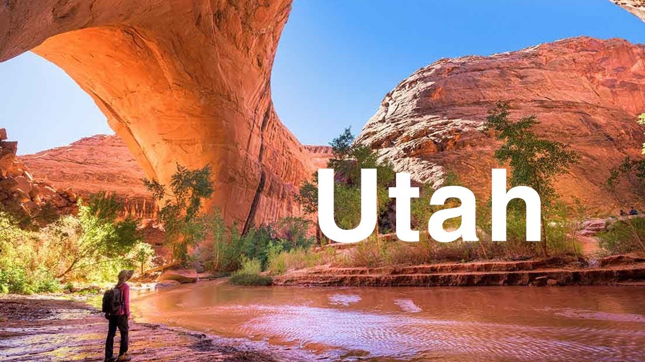 Utah to apply blockchain in next primary elections Bitfinance