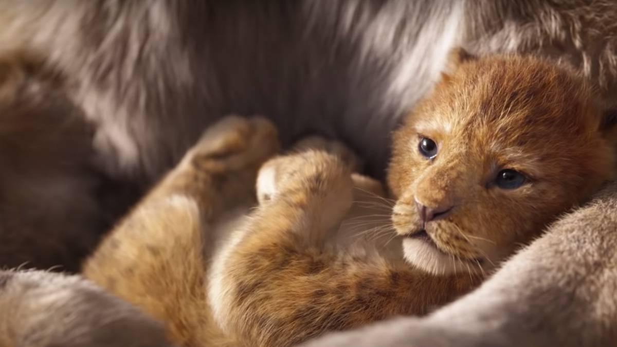 The new version of Disney's Lion King became the weekend in the highest grossing animated film ever