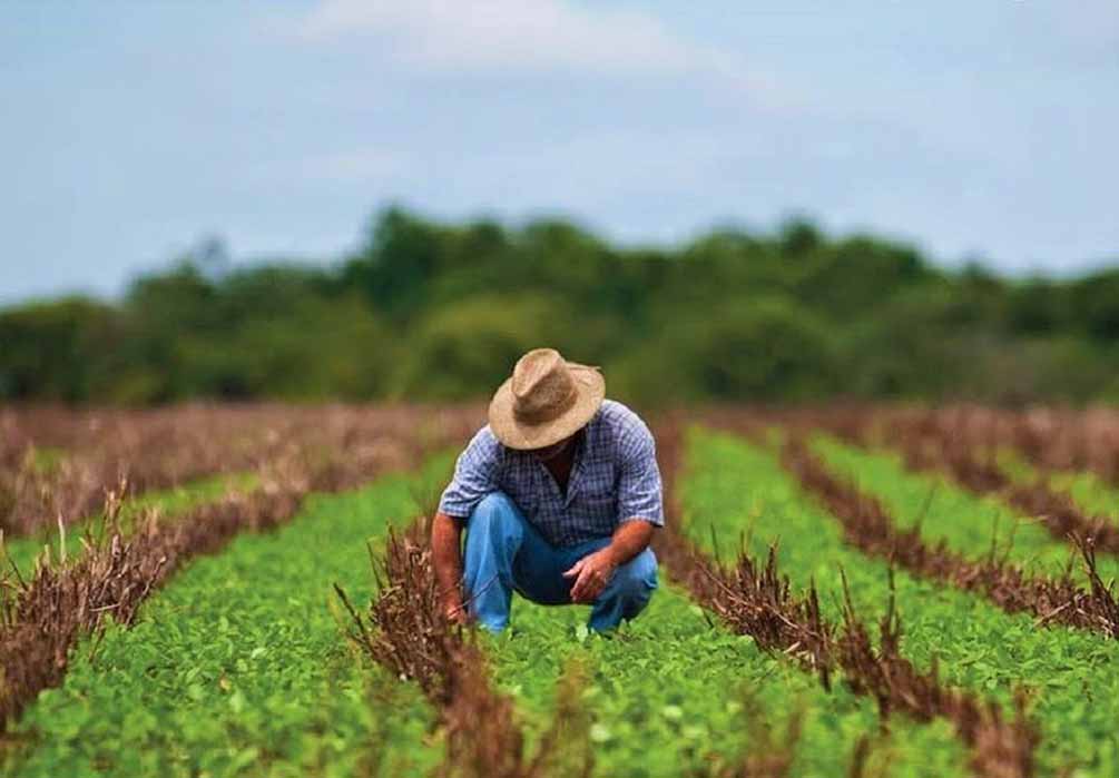 Unbanked farmers in Mexico will receive support once the IDB Lab grants financing to the EthicHub platform for the use of blockchain technology