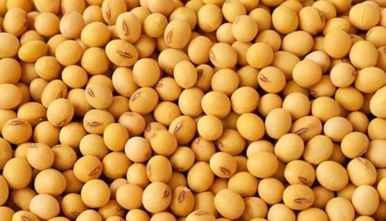 Argentine Market Impacts Crypto Ecosystem With Innovative Soy Tokenization