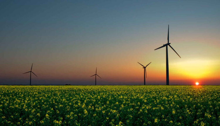 Las fundaciones Rockefeller e IKEA aspiran cortar mil toneladas de emisiones de efecto invernadero y facilitar electricidad de fuentes renovables durante este año