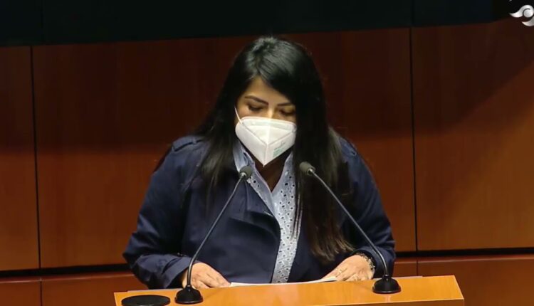 Indira Kempis Martínez, deputy of the Citizen Movement party, urged the government to create programs where cryptocurrencies can be integrated into the payment of public services