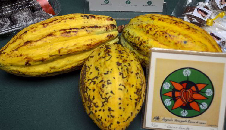 Sábado y domingo de paseo y chocolate en el El Hatillo