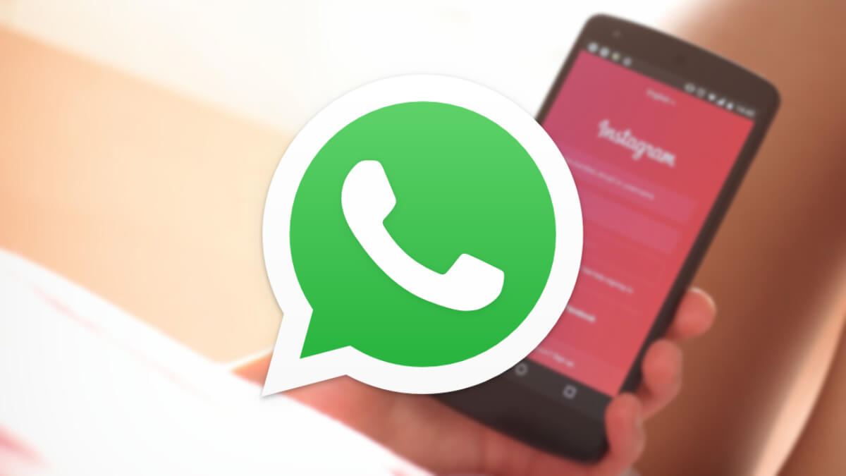 WhatsApp Business accounts can be connected to the Instagram social network profile by simply adding the business phone number within the contact information