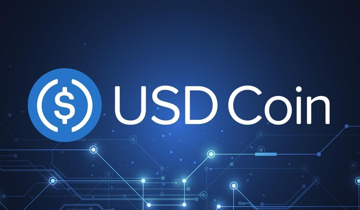 La Comisión de Bolsa y Valores de Estados Unidos abrió un proceso contra el desarrollador del stablecoin, Circle