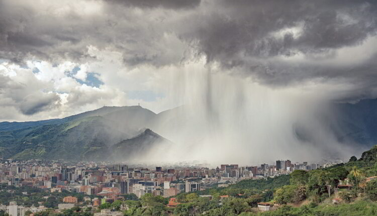 As in each of the editions held since 2003, the event allows promoting audiovisual culture as a tool to disseminate experiences and learnings in the relationship between man and nature