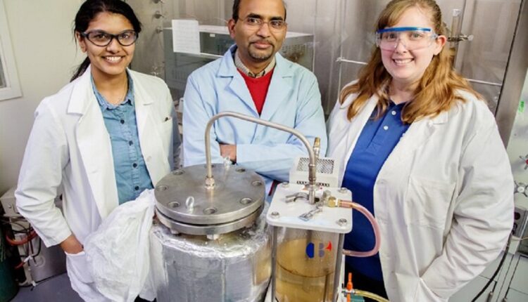 Científicos de la State Polytechnic University, en California, están buscando una solución a la cantidad de desechos plásticos que se producen anualmente y causan un daño ambiental