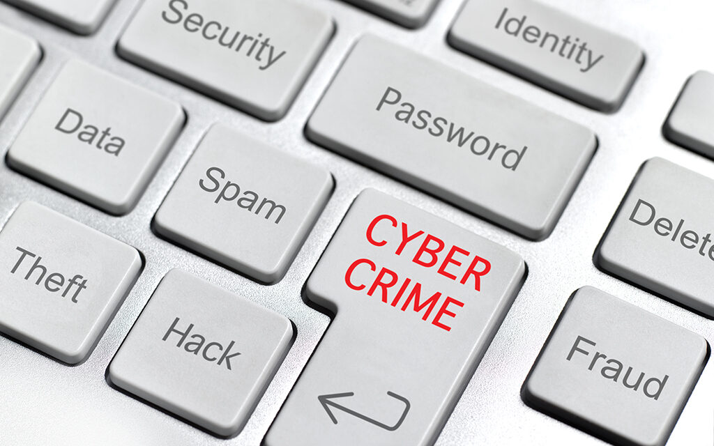 November 26 is celebrated on Black Friday and businesses offer discounts and criminals take the opportunity to run their cyber scams