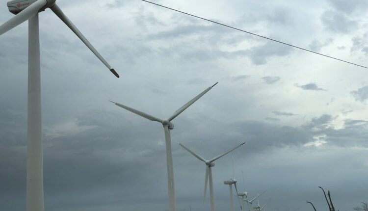 PDVSA and the Ministry of Energy are working together to privatize the Paraguaná wind farm in order to add 140 megawatts to that area of the country