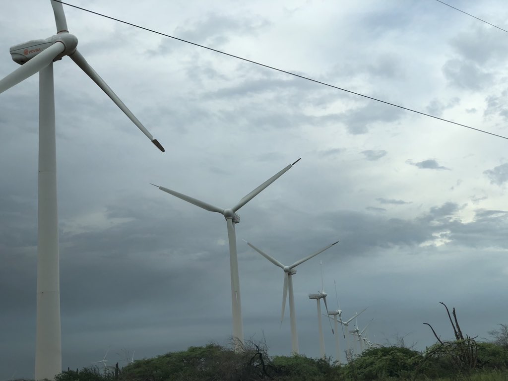 PDVSA and the Ministry of Energy are working together to privatize the Paraguaná wind farm in order to add 140 megawatts to that area of the country
