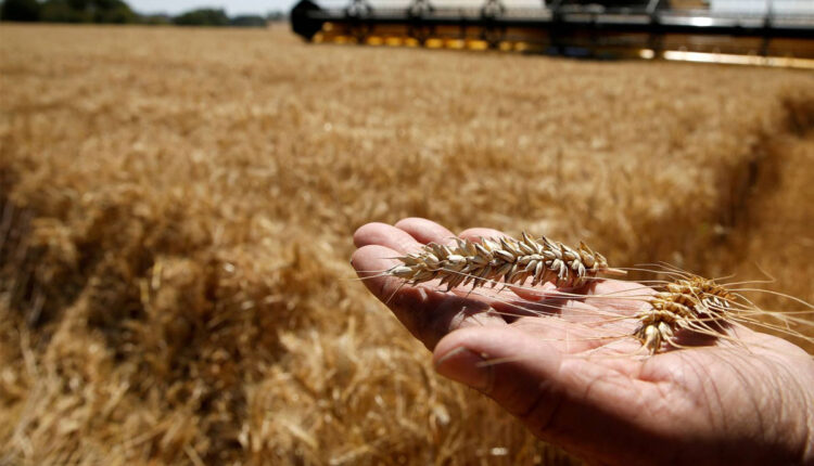 Debido a las restricciones de la oferta por temas ambientales, Latinoamérica se perfila para repetir lo ocurrido entre 2004-2014