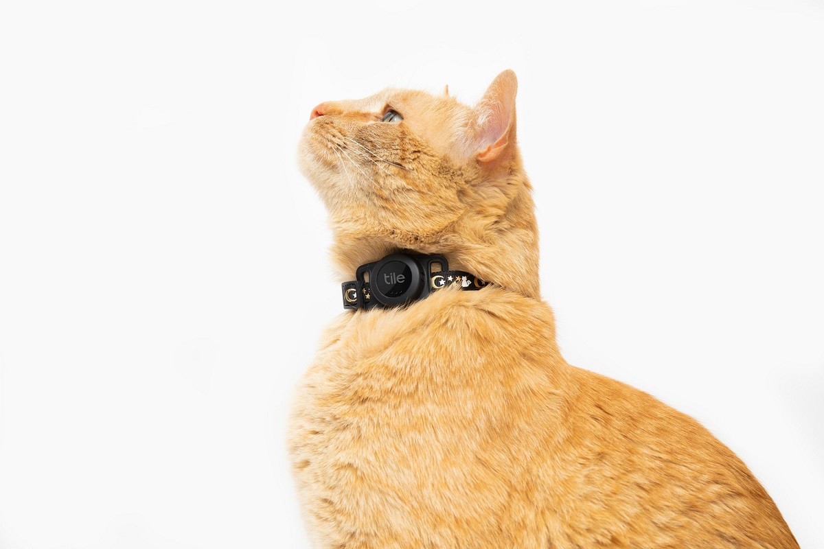 Tile For Cats, collar rastreador de gatos que funciona con Bluetooth
