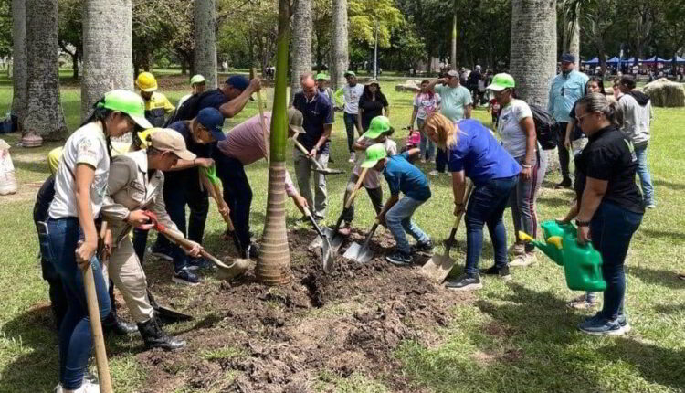 Bancamiga impulsa la reforestación del Parque del Este