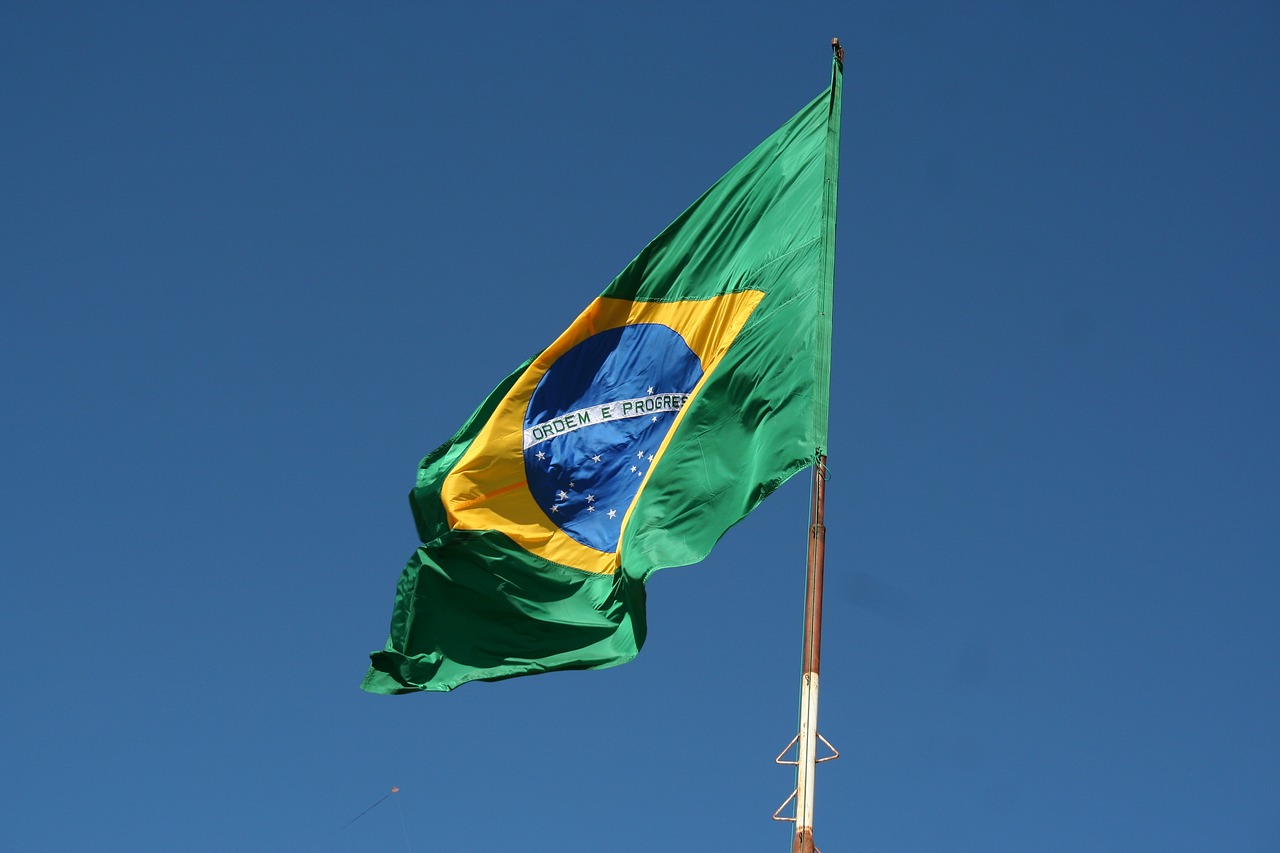 En el periodo de enero a noviembre del año pasado, Brasil experimentó una disminución del 36 % en las Inversiones Extranjeras Directas (IED)