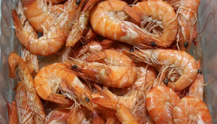 La industria camaronera de Venezuela ha crecido en los últimos 25 años, con granjas que cultivan entre 50.000 y 300.000 camarones por hectárea, convirtiendo al sector en factor clave de desarrollo