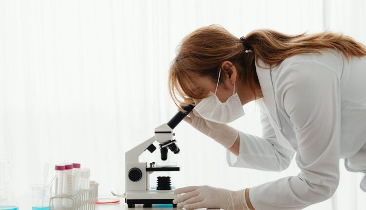 Más de 7 millones de dólares aprobó el presidente de Venezuela, Nicolás Maduro, para financiar 210 proyectos de investigación en los sectores agroalimentario, farmacéutico, hidrocarburos, telecomunicaciones, industria y educación