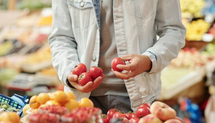 El director del Centro de Documentación y Análisis Social de la Federación Venezolana de Maestros (Cendas-FVM), Óscar Meza, indicó que el costo de la Canasta Alimenticia Familiar del mes de junio se ubicó en USD 550,39