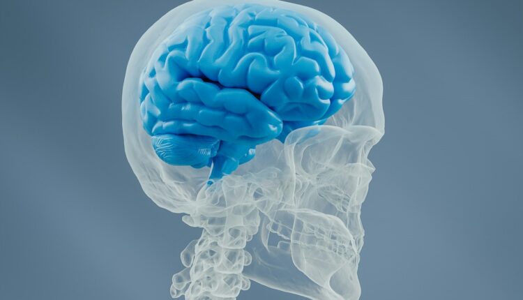Elon Musk, propietario de la startup Neuralink, indicó que ya existe un segundo paciente al cual se le ha insertado un chip cerebral y que están pendientes ocho ensayos a finales de 2024