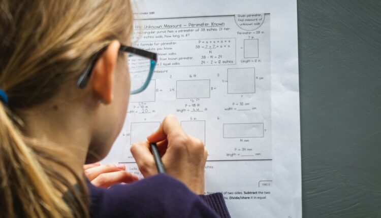 Según proyecciones de la IA de Google, Finlandia se perfila como el país europeo con el mayor coeficiente intelectual. Le siguen Estonia, Suiza, Países Bajos, Alemania, Reino Unido y Francia