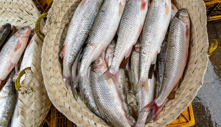 De acuerdo con la ministra de Comercio de Venezuela, Coromoto Godoy, el gobierno ha iniciado las reuniones pertinentes para lograr la comercialización de productos pesqueros y agrícolas al mercado de los Brics