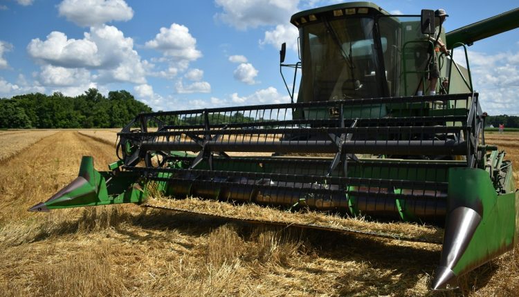 Mediante la firma de un memorando de entendimiento, Venezuela e Irak acordaron fortalecer la colaboración bilateral en temas como ganadería, cooperación comercial, sector agroindustrial, entre otros