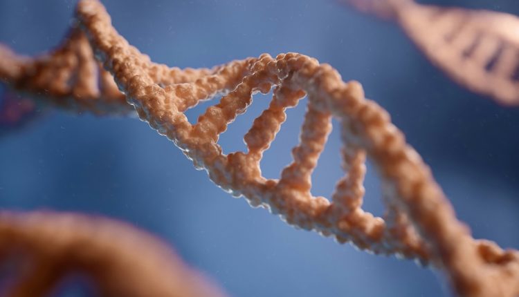 Un grupo de investigadores de la Universidad de Mie, en Japón, logró un importante avance en el área genética para eliminar el cromosoma 21, responsable del síndrome de Down