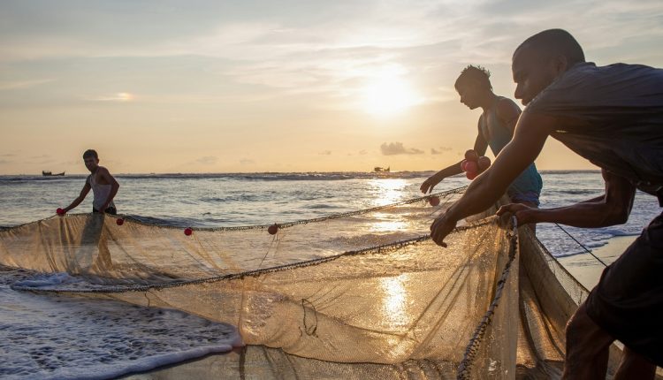 En un lapso de 15 días iniciarán las reformas al ordenamiento legal de la pesca continental que se realiza en aguas continentales como ríos, lagos y embalses. Así lo informó el jueves el ministro de Pesca, Juan Carlos Loyo