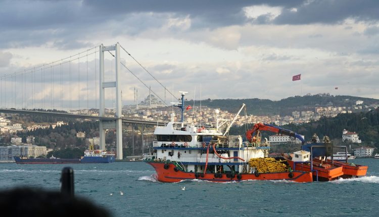 El próximo 15 de septiembre será inaugurada la ruta marítima comercial directa entre Venezuela y Turquía con la meta de que el balance de negocios aumente hasta los $ 3.000 millones