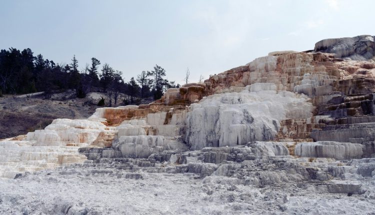 Gracias a una alianza entre la Empresa de Comercio Exterior de Lara (Emcoex Lara) e inversionistas españoles, Venezuela podrá exportar unas 360.000 toneladas de arcilla blanca al año