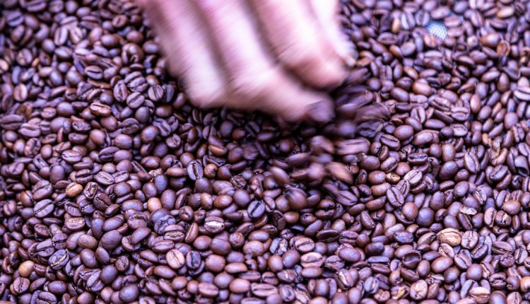 El presidente de la Confederación de Asociaciones de Productores Agropecuarios de Venezuela (Fedeagro), Vicente Pérez, considera que los caficultores locales no se están beneficiando del alto precio del café en el mercado internacional, actualmente en $ 440 el quintal