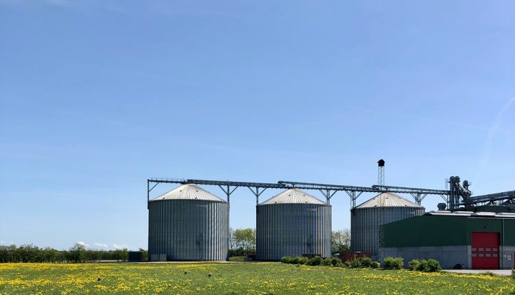 Según un estudio por el Instituto de Energía y Medio Ambiente (Iema) y Observatorio del Clima (OC), Brasil tiene potencial para duplicar biocombustibles hasta 2050 sin deforestar y, contrario a lo esperado, recuperar áreas naturales