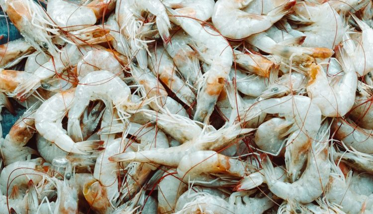 El sector agroindustrial de Venezuela vive un momento de expansión en las exportaciones, con el camarón en el primer lugar de envíos al exterior