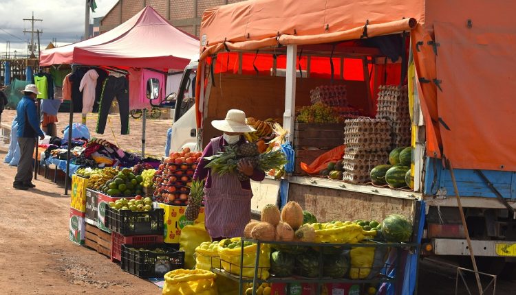 El Banco de Desarrollo de América Latina y el Caribe (CAF) anunció este lunes la aprobación de un préstamo por $ 550 millones para fortalecer la economía de Bolivia además de apoyar diversas estructurales