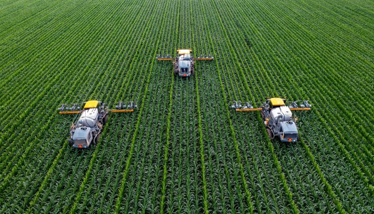 La presidenta encargada de Venezuela, Delcy Rodríguez, anunció la activación del Estado Mayor Agroalimentario, con el propósito de garantizar la soberanía alimentaria del país y el abastecimiento