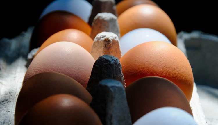 El ente agrupará a todos los actores del sector para impulsar la producción de huevos y pollo, además de coordinar su comercialización fuera de Venezuela