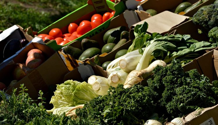 En declaraciones recientes, el viceministro de Comercialización y Producción Alimentaria, Francisco Fonseca, indicó que Venezuela tiene cubierta 100 % de la demanda de alimentos, con anaqueles llenos