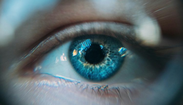 RetinaMind es una IA desarrollada por el estudiante estadounidense Edward Kang, como parte de un proyecto de ciencias en su instituto. La herramienta tiene una precisión de 89 % en el diagnóstico de autismo y TDAH mediante el escaneo de la retina humana