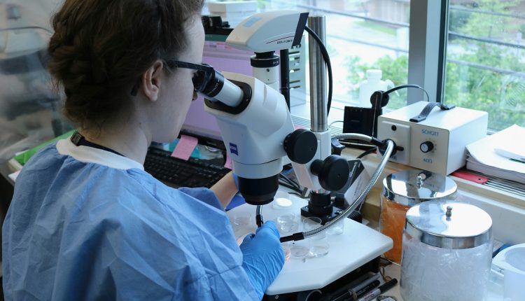 Científicos de China lograron desarrollar un nuevo tejido vivo para ropa que tiene la capacidad de autorrepararse. Su uso en el área textil resultaría invaluable, según la publicación en el sitio de los Institutos de Tecnología Avanzada de Shenzhen de la Academia China de Ciencias