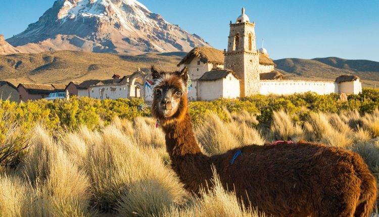 El país sudamericano podría enfrentar una caída del Producto Interno Bruto en 2026 de 2,8 %, según el Banco Mundial